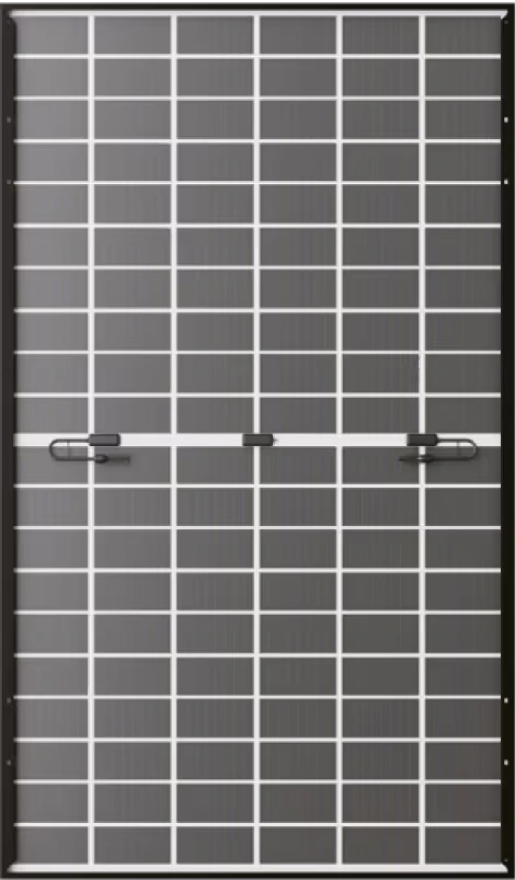 Face arrière officielle LONGi, associée au LR7-60HVD bifacial.